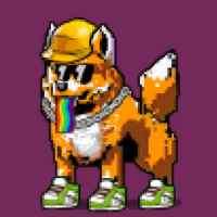 DogePunks #153