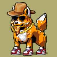 DogePunks #1073