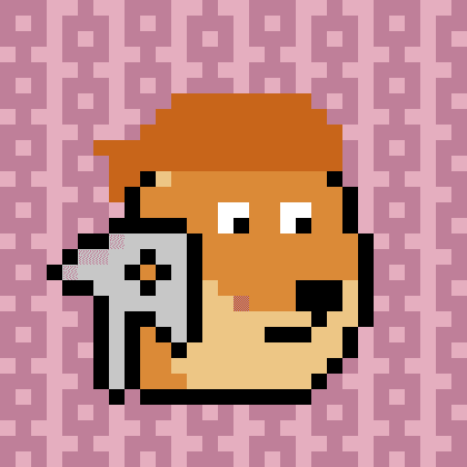 Dogepunk #1355