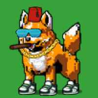 DogePunks #1905