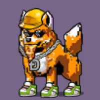 DogePunks #775