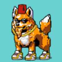 DogePunks #1868