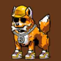 DogePunks #618