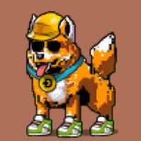 DogePunks #268