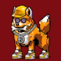 DogePunks #546