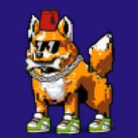 DogePunks #4788
