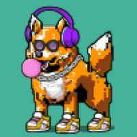 DogePunks #1903