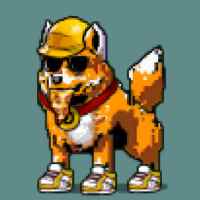 DogePunks #3851