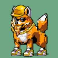 DogePunks #1972