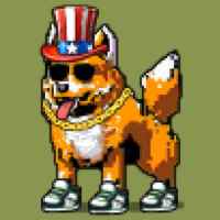 DogePunks #4089