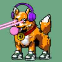 DogePunks #1407