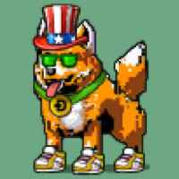 DogePunks #2101