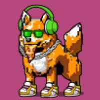 DogePunks #2776