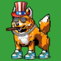 DogePunks #2173