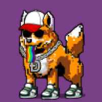 DogePunks #3037