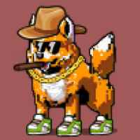 DogePunks #800