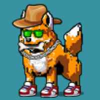 DogePunks #2282