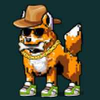 DogePunks #1189