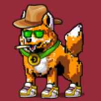 DogePunks #842