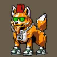DogePunks #487