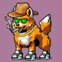 DogePunks #5000