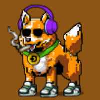 DogePunks #2016