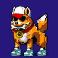 DogePunks #236