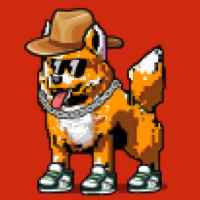 DogePunks #3101