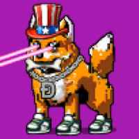 DogePunks #2914
