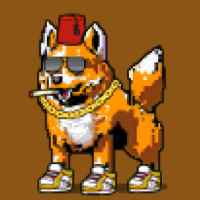 DogePunks #669