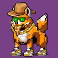 DogePunks #683