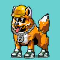 DogePunks #3794
