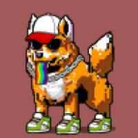 DogePunks #3018