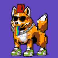DogePunks #4569