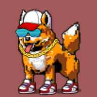 DogePunks #4557