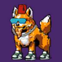 DogePunks #3468