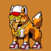 DogePunks #4972