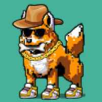 DogePunks #450