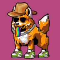 DogePunks #457