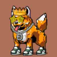 DogePunks #1232