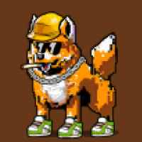 DogePunks #4677