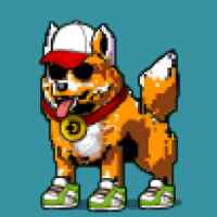 DogePunks #2003