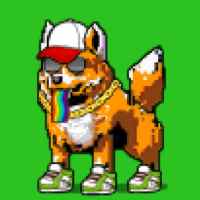 DogePunks #1677
