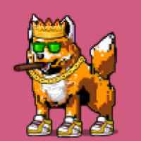 DogePunks #3309