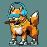 DogePunks #2448