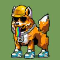 DogePunks #465