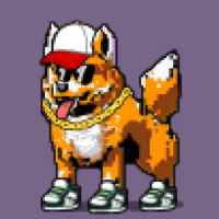 DogePunks #3893