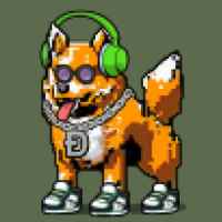 DogePunks #2411