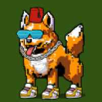 DogePunks #2547