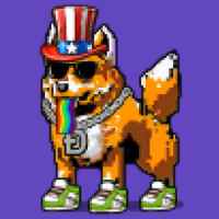 DogePunks #2703